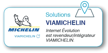 reveneur / Intégrateur Viamichelin